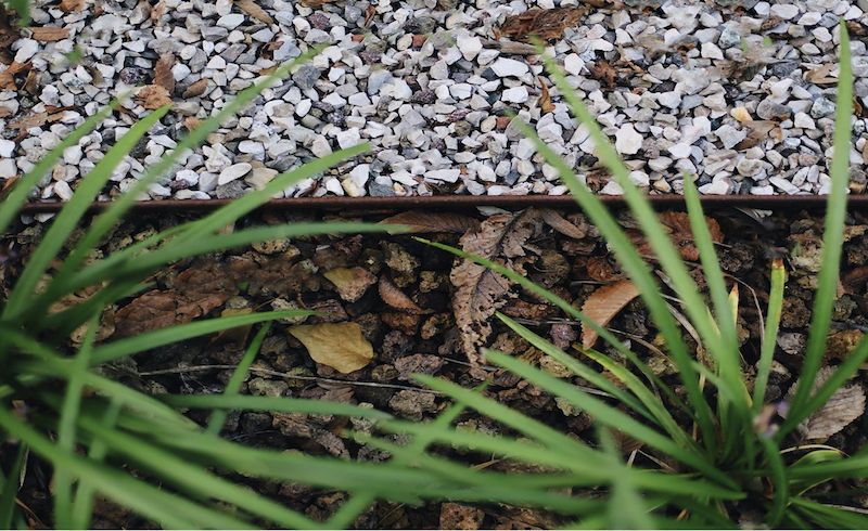 Giardineggiando Bordure E Oggetti Da Giardino In Corten Perche Tutti Li Vogliono